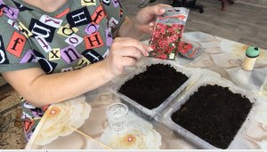 Когда и как правильно сеять петунию на рассадуХИТРОСТИ ПОСЕВА СЕМЯН