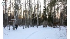 Охота в Владимирской области – Охотничье хозяйство "Медуши" охота на лося в Владимирской области