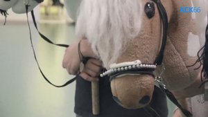 Хоббихорсинг игрушечные лошадки и серьезные тренировки