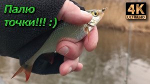 Нахлыст. Где стоит красноперка весной?