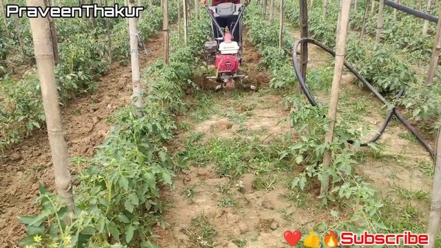 power weeder | mini tiller tractor | honda gx engine | PraveenThakur