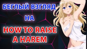 Беглый взгляд на How to raise a harem
