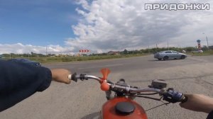 Мотокрыса никогда ТАК не шла...