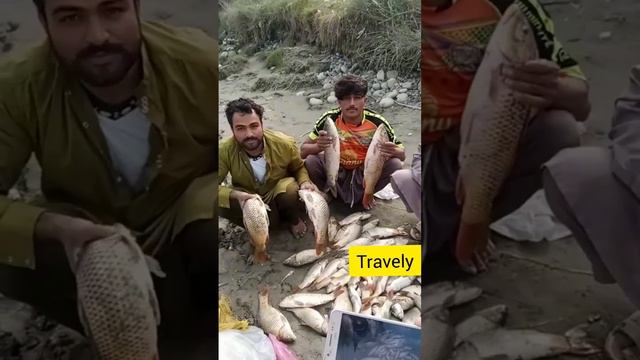 Fish cauthing. loon take fish out of kayaker,s hand  #indianvlogs #fishing #awesome