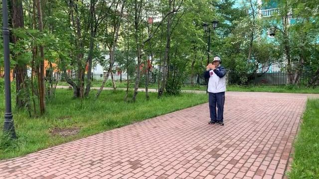 Ицюань - Кёкусинкай / Исследование (6). Сайха