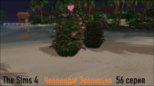 Эволюция в The Sims 4 БЕЗ МОДОВ 56 серия