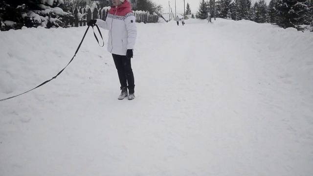 Тузик и Ляля смотреть онлайн