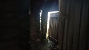 Своё подсобное хозяйство в деревне. Часть 1.