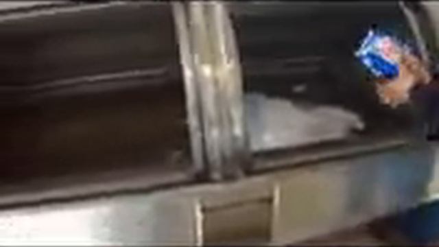 Моечная машина для мойки шерсти