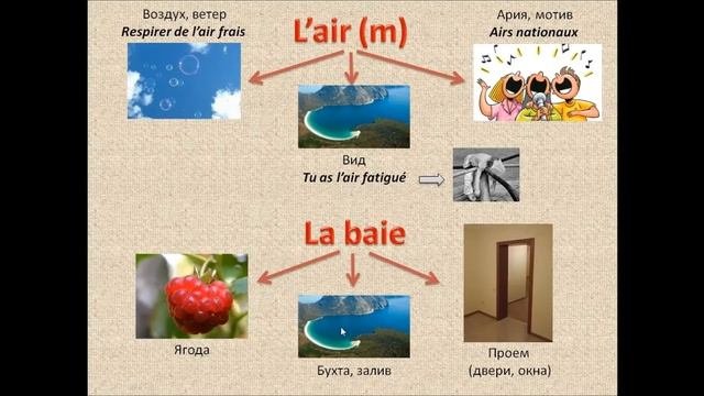 Французский с нуля, Интересное о французских словах