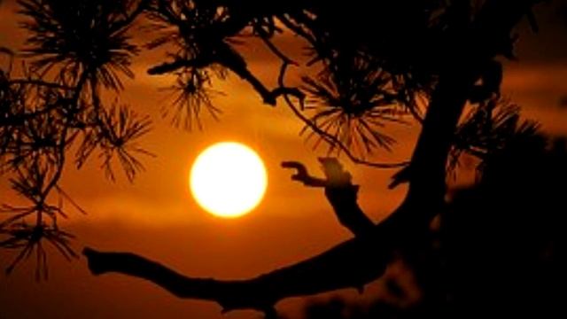 моцарт классическая музыка смотреть онлайн