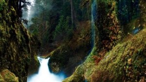 ЧУБЧИК-РИККИ #fairytales #сказки