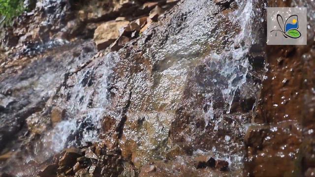 Памятник природы «Река Рагуша» смотреть онлайн