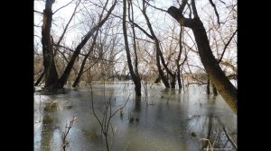 Половодье на реке Суре. 14 марта, лёд ещё стоит. Ждём ледохода