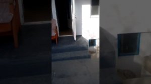 Судак жильё без посредников