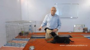 Как подобрать размер клетки для собаки