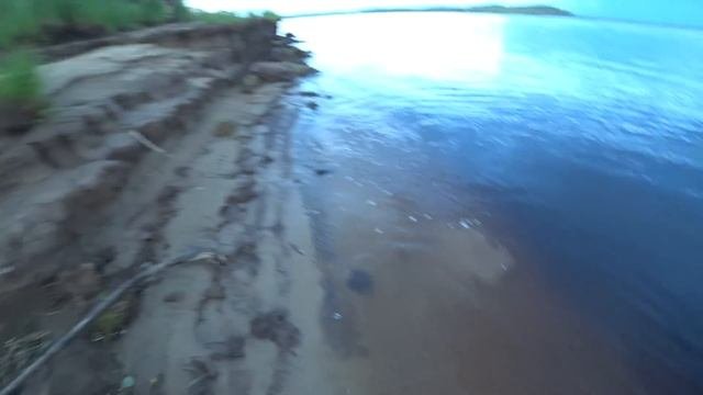 Краснокнижные лобари не дают покоя.Рыбалка на Оби. ХМАО.