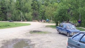 ஐ Водитель похерист Сбил стадо коров! Жесть! ДТП