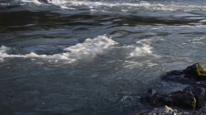 Цитаты: разное