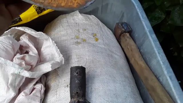 Накрутила голубцы, у нас прибыль, чистим погреб смотреть онлайн