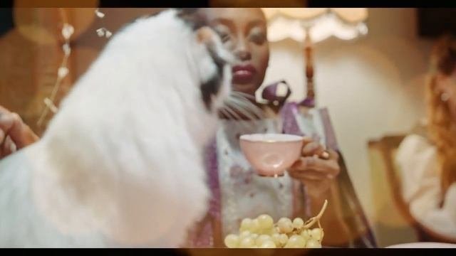 Порода шотландская вислоухая кошка. Всё для породы.