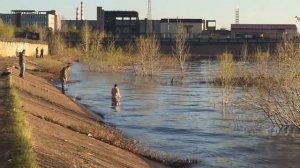 Кама.Рыбалка.Купание по синьке 08.05.2016