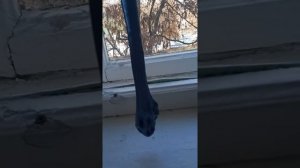 Как исправить испорченный слайм