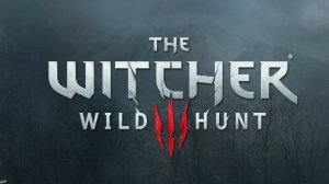 Ведьмак 3 прохождение The Witcher 3 Дикая охота часть #5.3