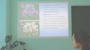 Агрономия. Клубнеплоды