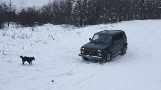 #4x4: Chevrolet Tahoe & Suburban & Blazer & L200 & Nissan X-Trail & Lada Niva In Snow