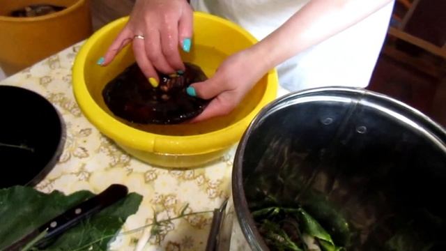 Рецепт соленых грибов / Просто и вкусно смотреть онлайн