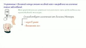 Супер !!!!упражнение " Золотой петух стоит на одной ноге"