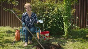 Осенние посадки. Обязательно добавляем ОМУ.