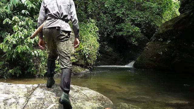 2 DAYS SOLO SURVIVAL: (NO FOOD, NO WATER, NO SHELTER) HEAVY RAIN, FISHING, CATCH & COOK смотреть онлайн