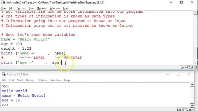 Python Input, Output, Variables, Data Types