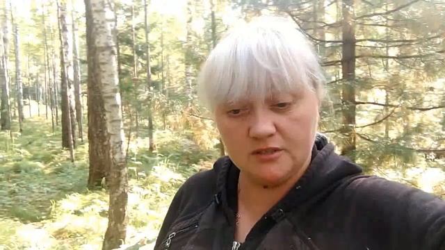 Средство от комаров и мошки. За грибами! смотреть онлайн