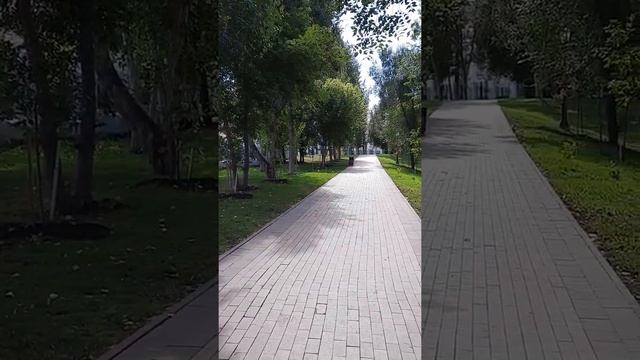 Дубки в Струковском саду. Андрей Демидов. Прогулки по Самаре смотреть онлайн