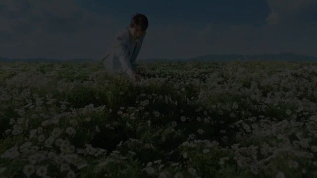 ВэйШу Эхо Любви смотреть онлайн