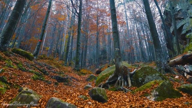 Instantly Forget All Worries and Fears with Gentle Soothing Hang Drum Music смотреть онлайн