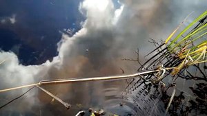 Загадки Кольского полуострова