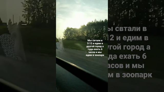 жди нас зоопарк!! ”в другом городе куда ехать 6 часов.. „