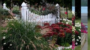 Ромашки в ландшафтном дизайне!!! Создайте сад своей мечты!!!