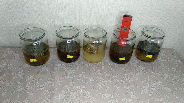 ОВП настоя сушеных трав: сныть, крапива, одуванчик, вишня, цитрон.
