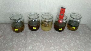 ОВП настоя сушеных трав: сныть, крапива, одуванчик, вишня, цитрон.