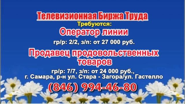 10.08.22 в 10.30 на Губернии ТБТ-Самара, ТБТ-Тольятти