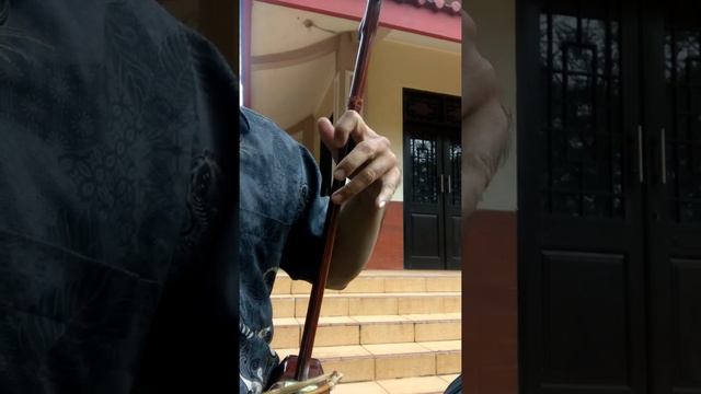 erhu