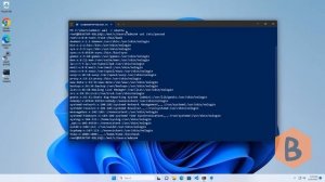 How to Set Default User for Manually Imported WSL Instance