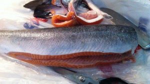 Малосоленая форель с лимоном