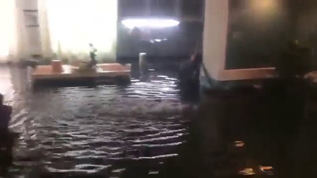 Потоп в квартире