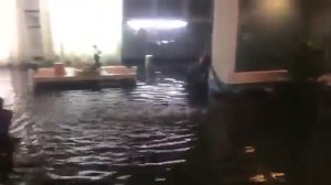 Потоп в квартире
